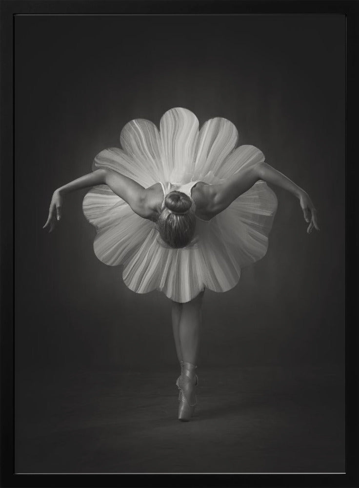 Floral Ballet Wall Art by Catchlight Studio-Canvas Print-DECOROLALA