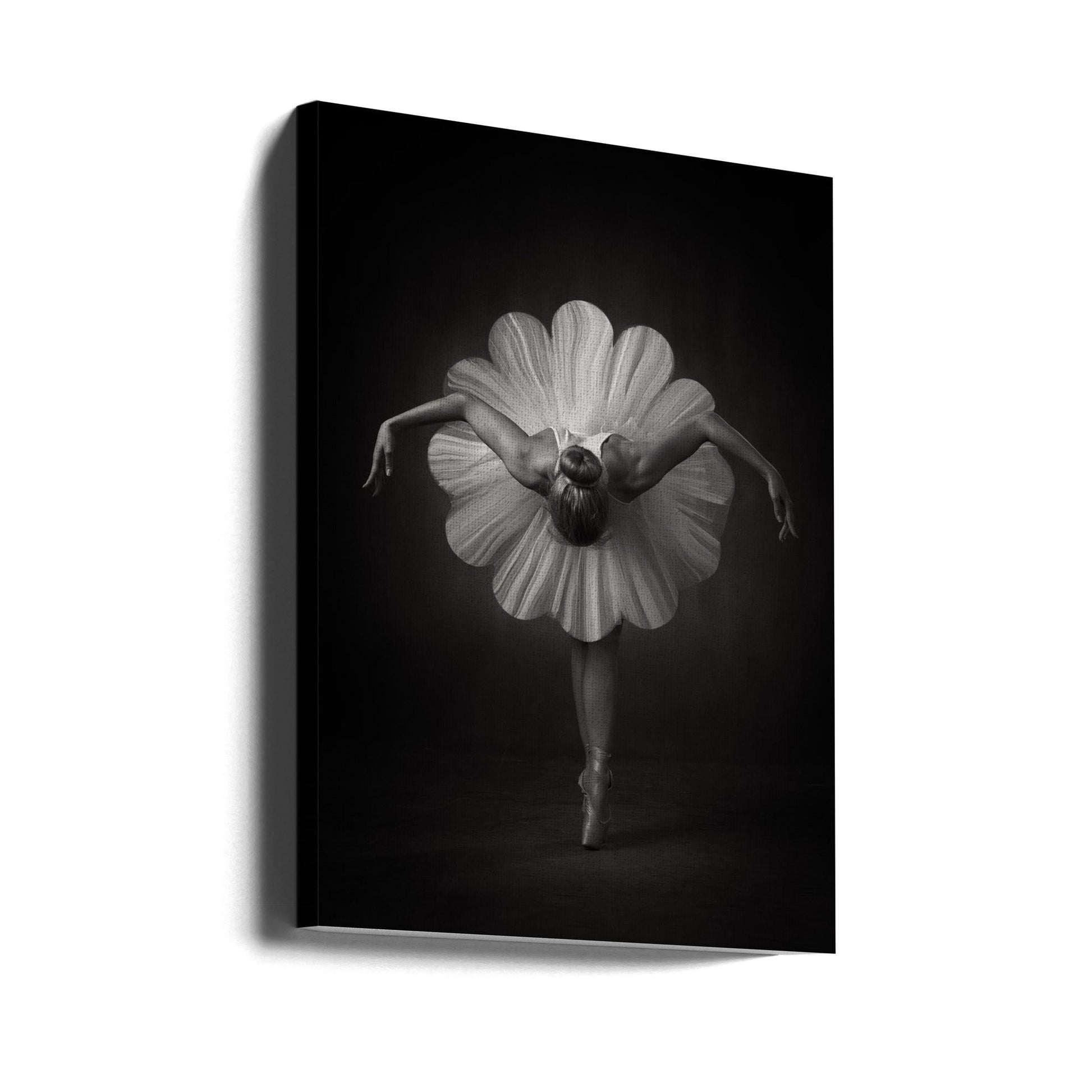 Floral Ballet Wall Art by Catchlight Studio-Canvas Print-DECOROLALA