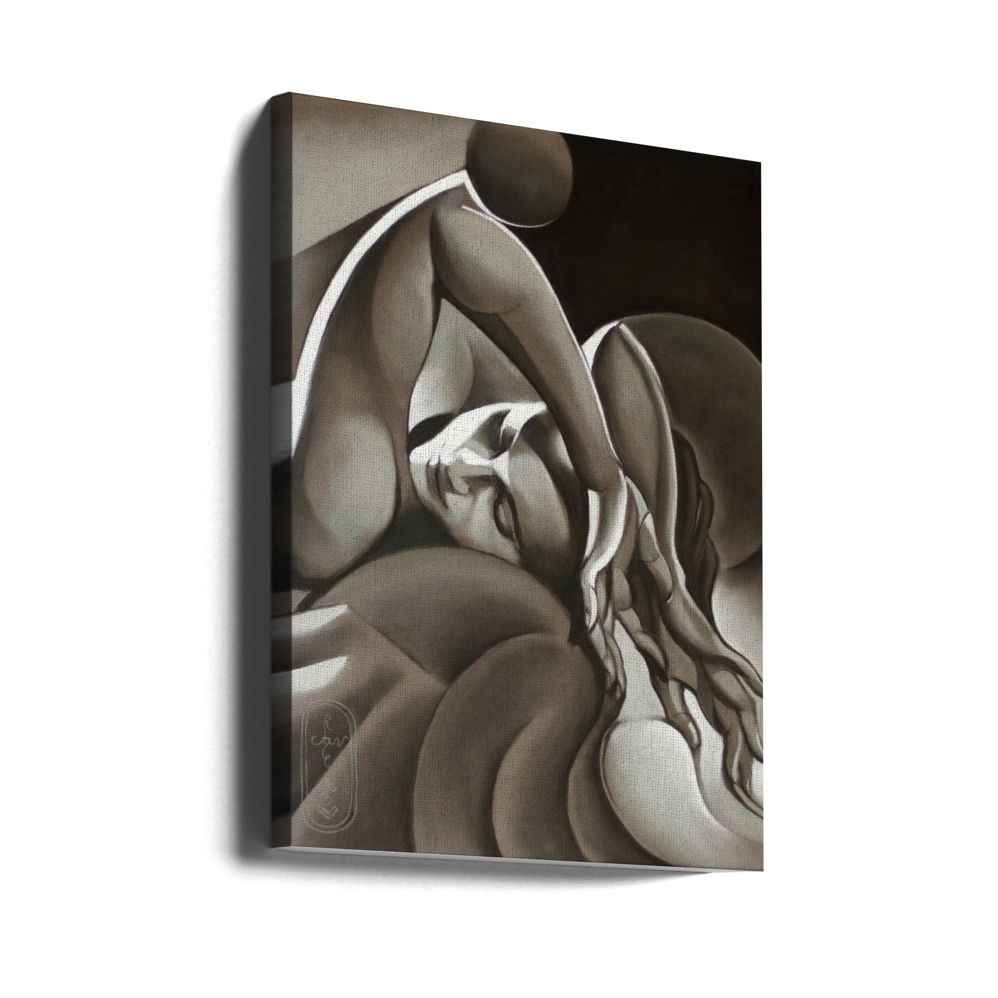 Flow of Life Wall Art by Corn Akkers-canvas-DECOROLALA