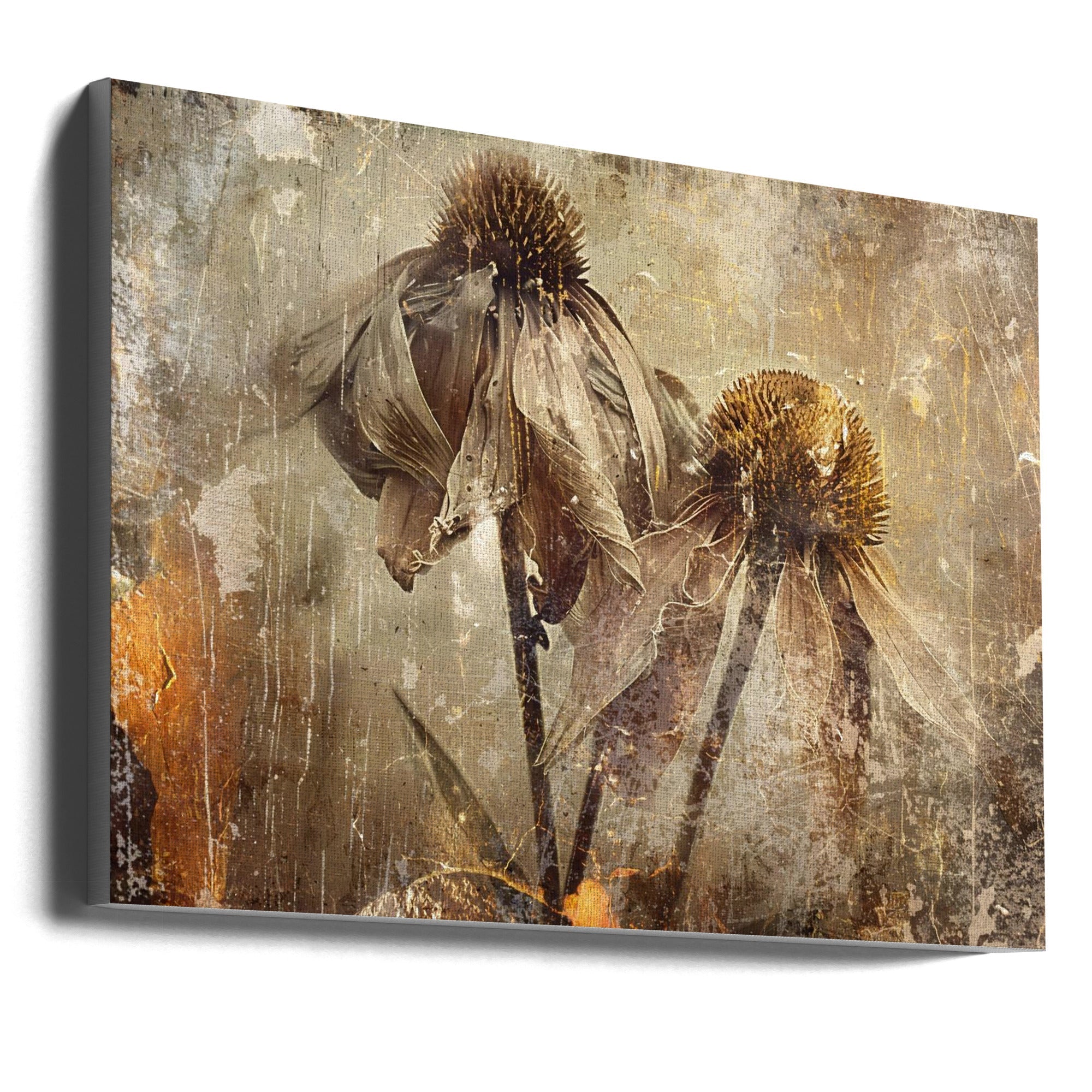 Flower Floral Art Illustration Wallart 082-canvas-DECOROLALA