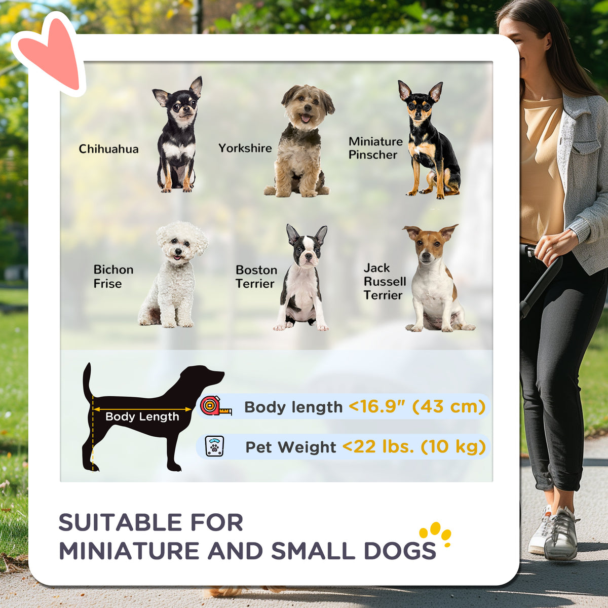 Foldable 4-Wheel Pet Stroller with Reversible Handle - Black-Dogs-DECOROLALA