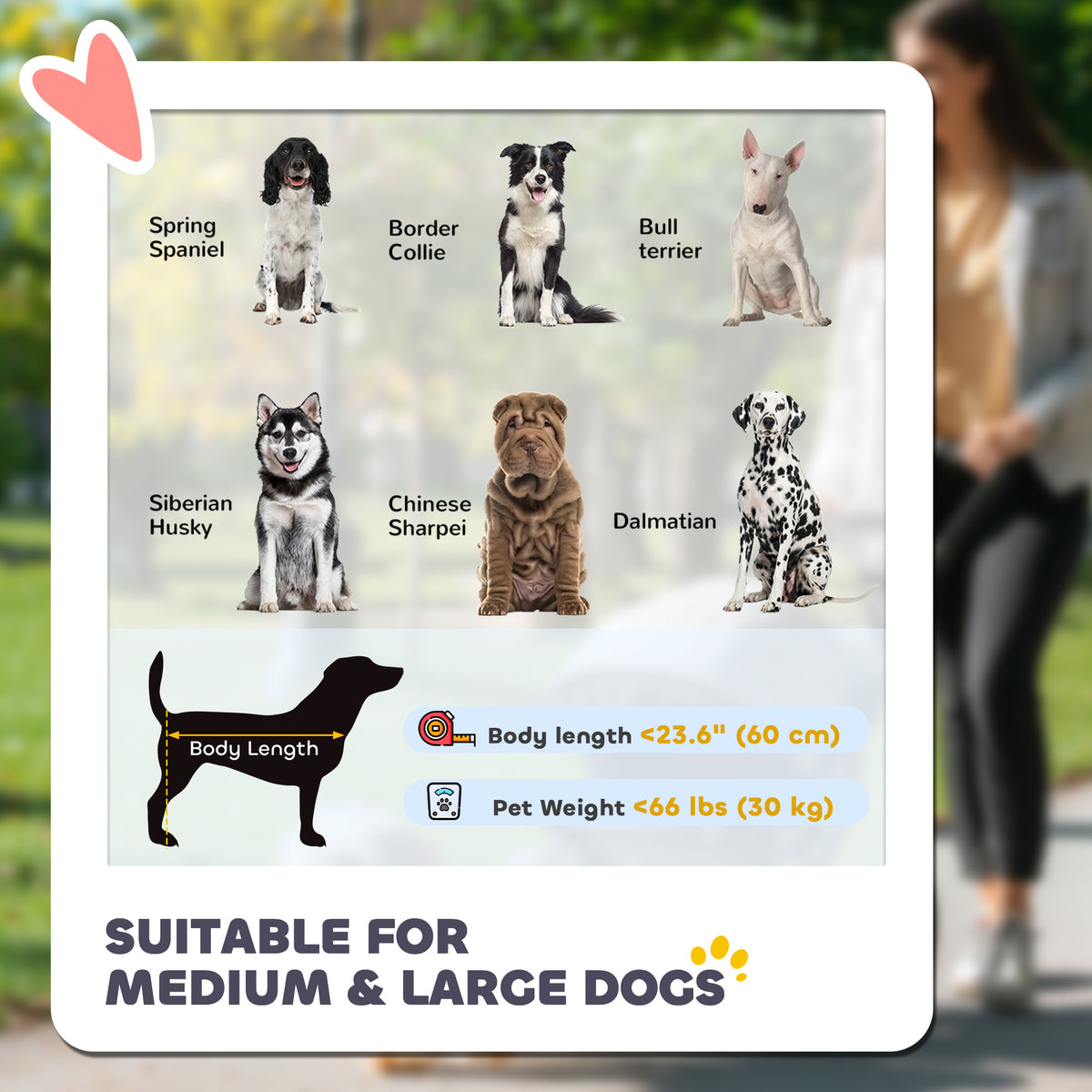 Foldable Pet Stroller for Large & Medium Dogs - Dark Grey-Dogs-DECOROLALA