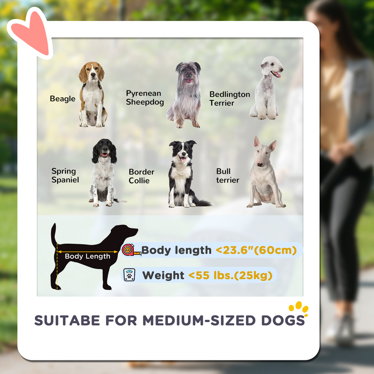 Foldable Pet Stroller for Medium Dogs - Black 55lbs Capacity-Dogs-DECOROLALA