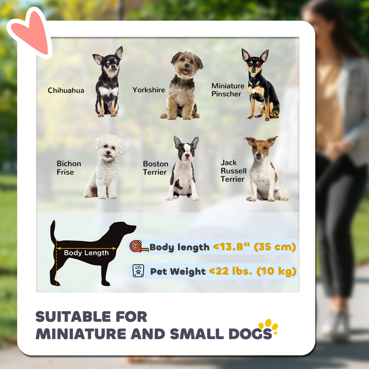 Foldable Pet Stroller for Small Dogs and Cats - Black-Dogs-DECOROLALA