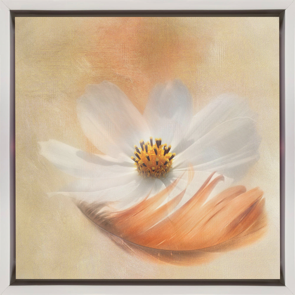 Gaille Gray Light as a Feather Wall Art-canvas-DECOROLALA
