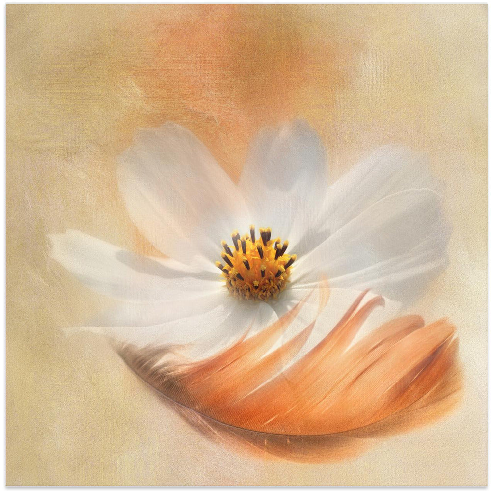 Gaille Gray Light as a Feather Wall Art-canvas-DECOROLALA