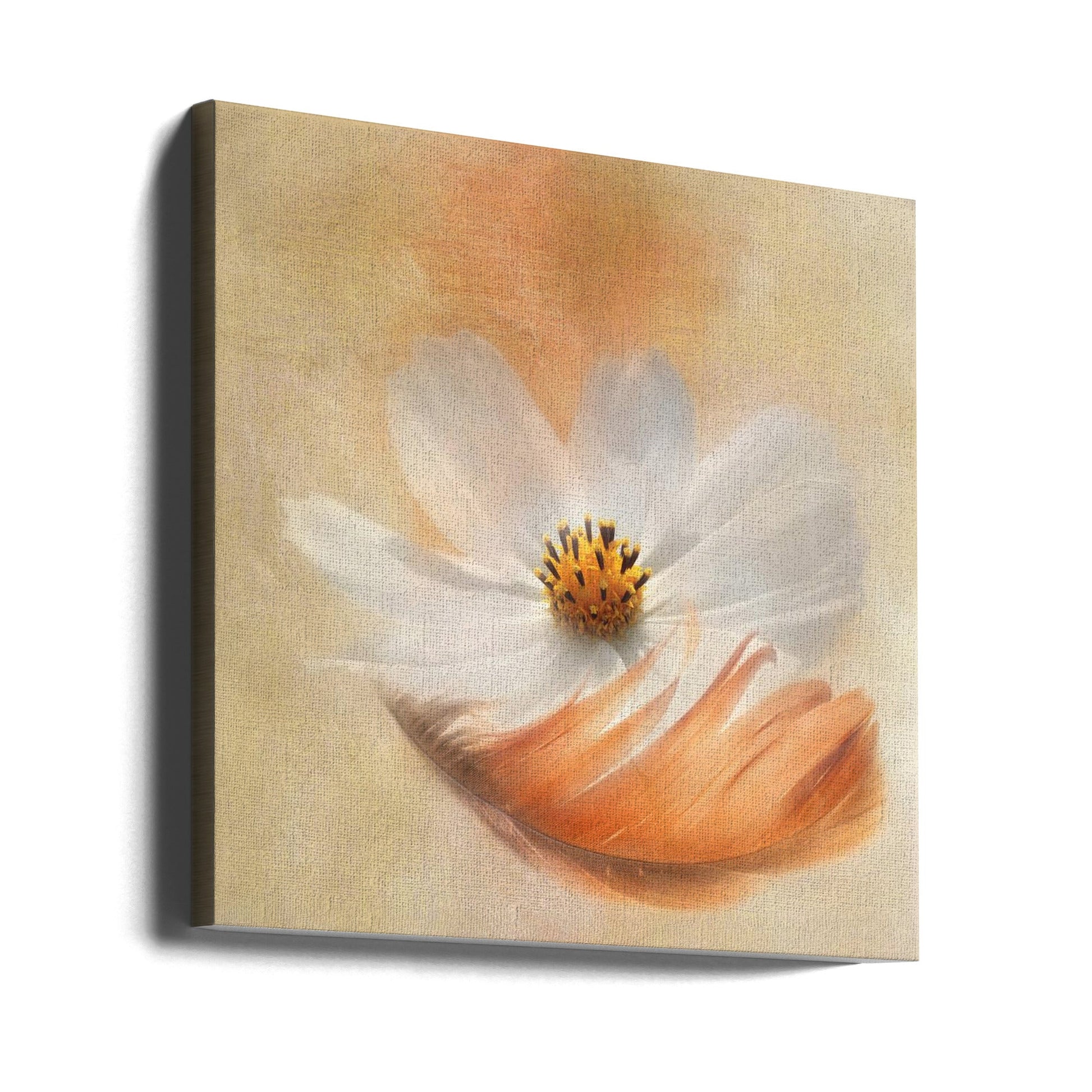 Gaille Gray Light as a Feather Wall Art-canvas-DECOROLALA