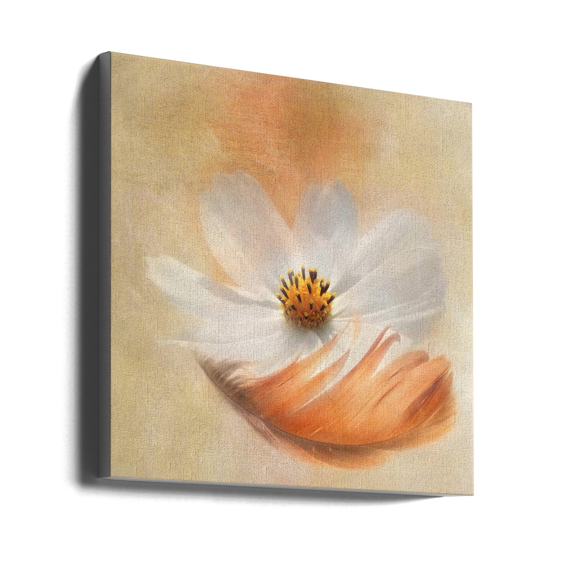 Gaille Gray Light as a Feather Wall Art-canvas-DECOROLALA