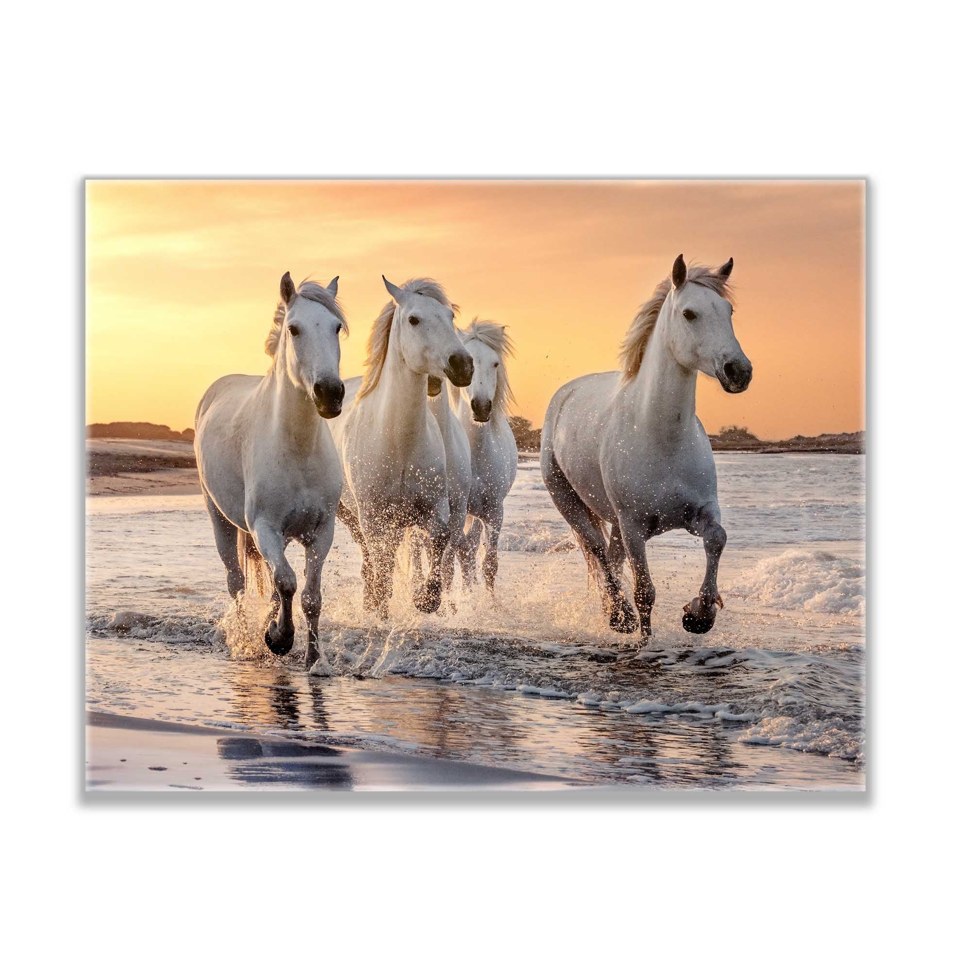 Galloping Horses Canvas Print with Gold Varnish 48x36-Wall Art-DECOROLALA