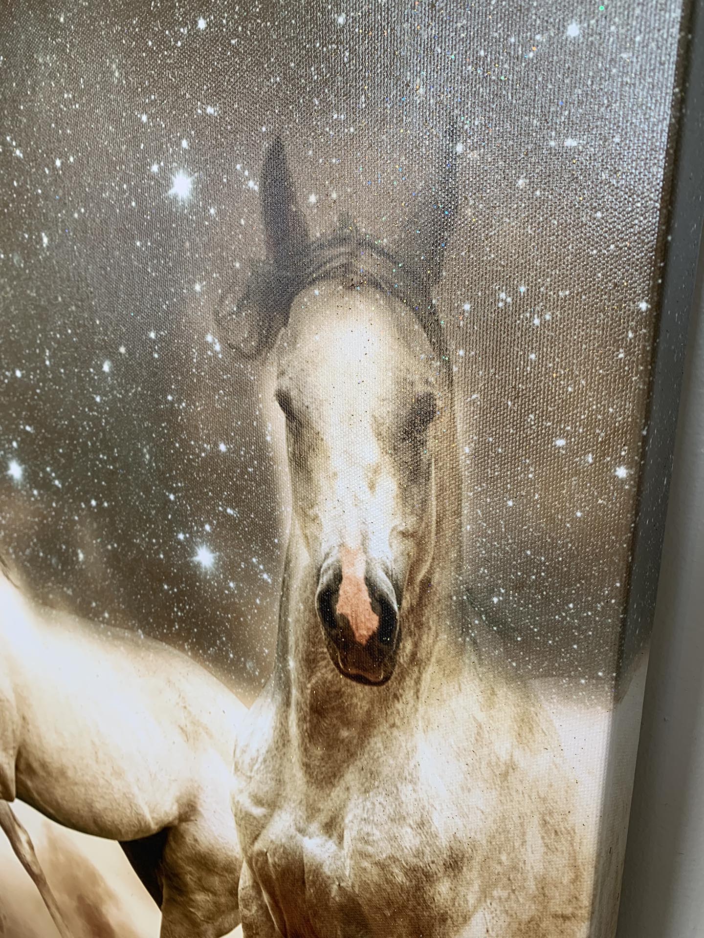 Genesis of a Unicorn Fine-Horse canvas-Wildlife Art-RGB varnish-Wall Art-DECOROLALA