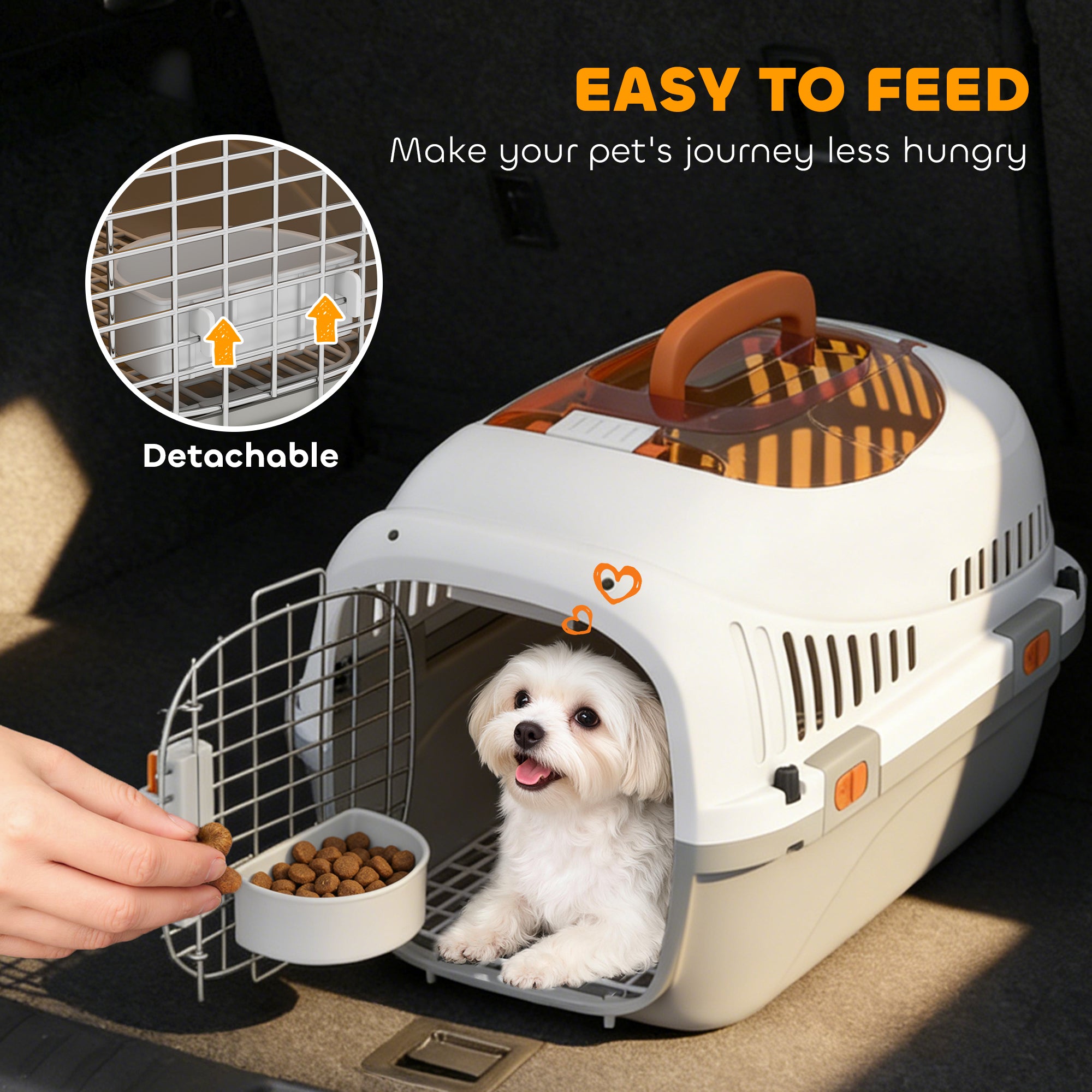 Hard-Sided Travel Pet Carrier, Plastic Dog and Cat Kennel for Small Dogs and Cats, Portable Crate with Steel Wire Door