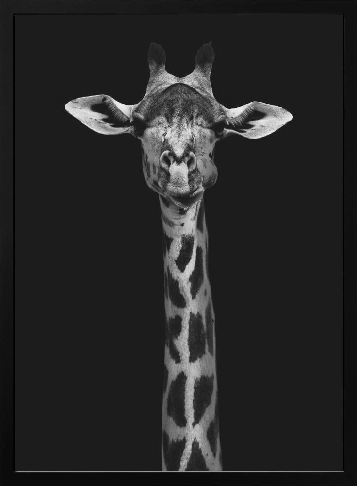 Giraffe Portrait Wall Art by WildPhotoArt-canvas-DECOROLALA