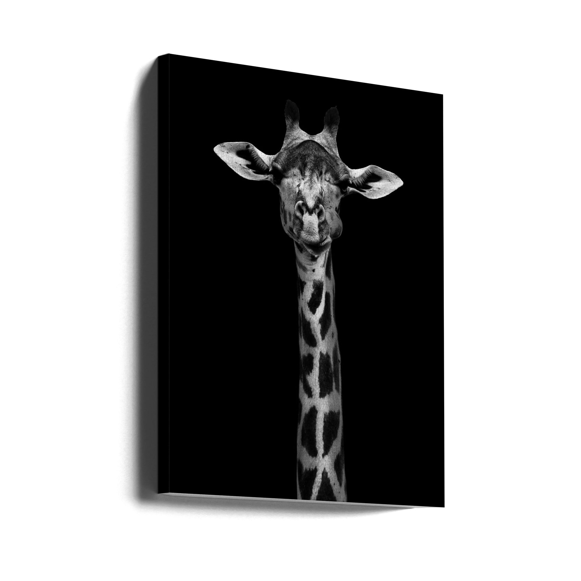 Giraffe Portrait Wall Art by WildPhotoArt-canvas-DECOROLALA