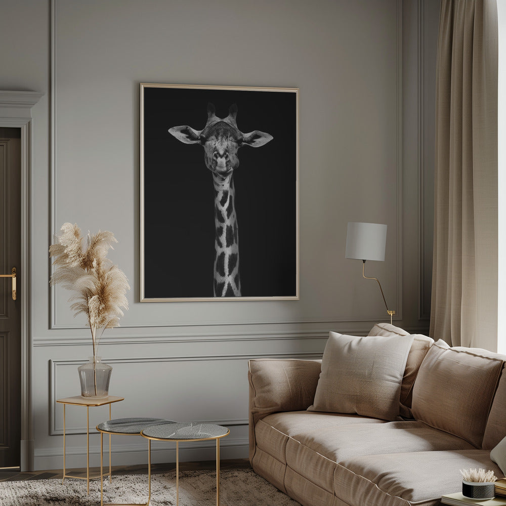 Giraffe Portrait-canvas-DECOROLALA