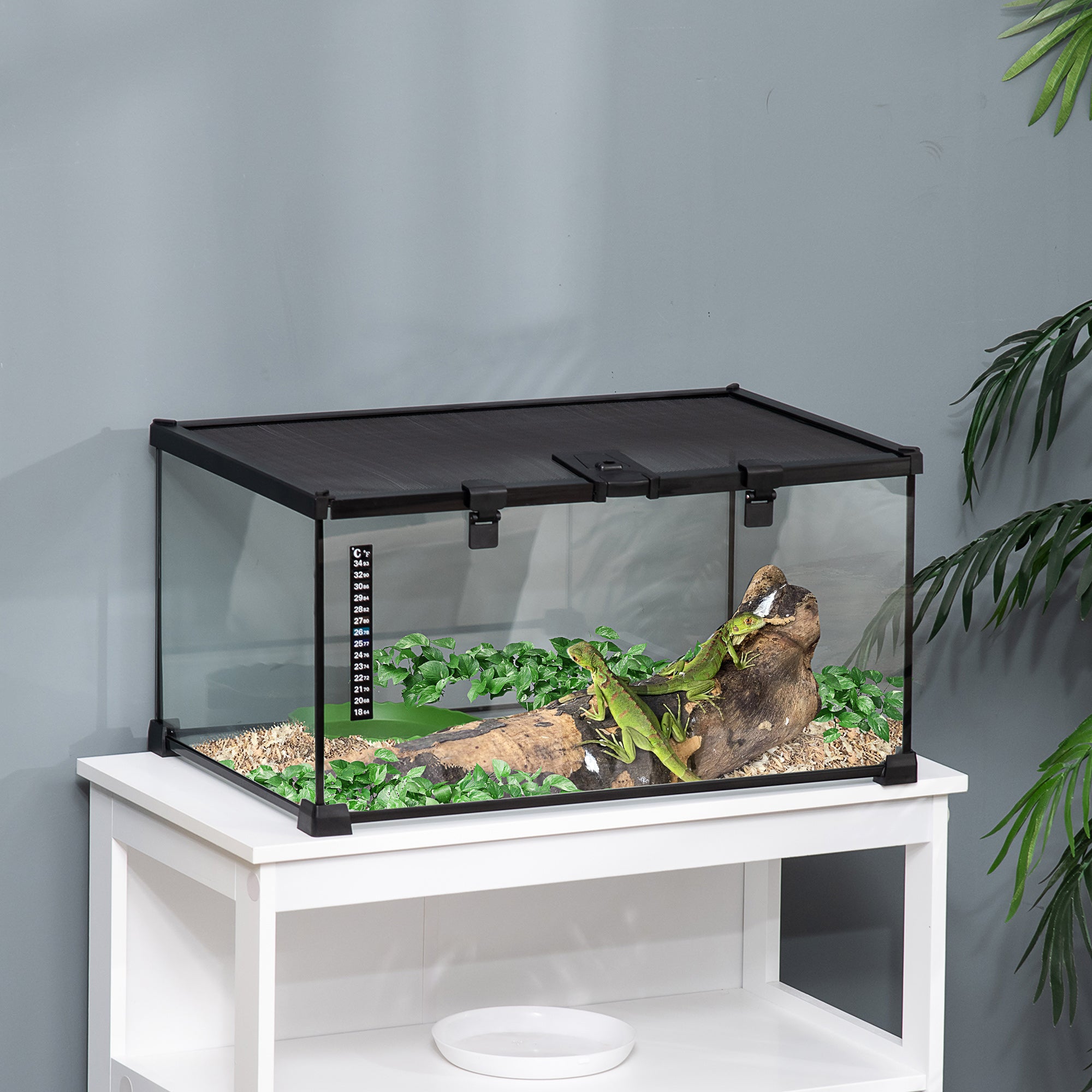 Glass Reptile Terrarium - 20" x 12" x 10" with Thermometer Black-Small Animals-DECOROLALA