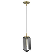 Gold and Black Metal Cage Pendant Hanging Light-Pendants-Hanging Lights-DECOROLALA