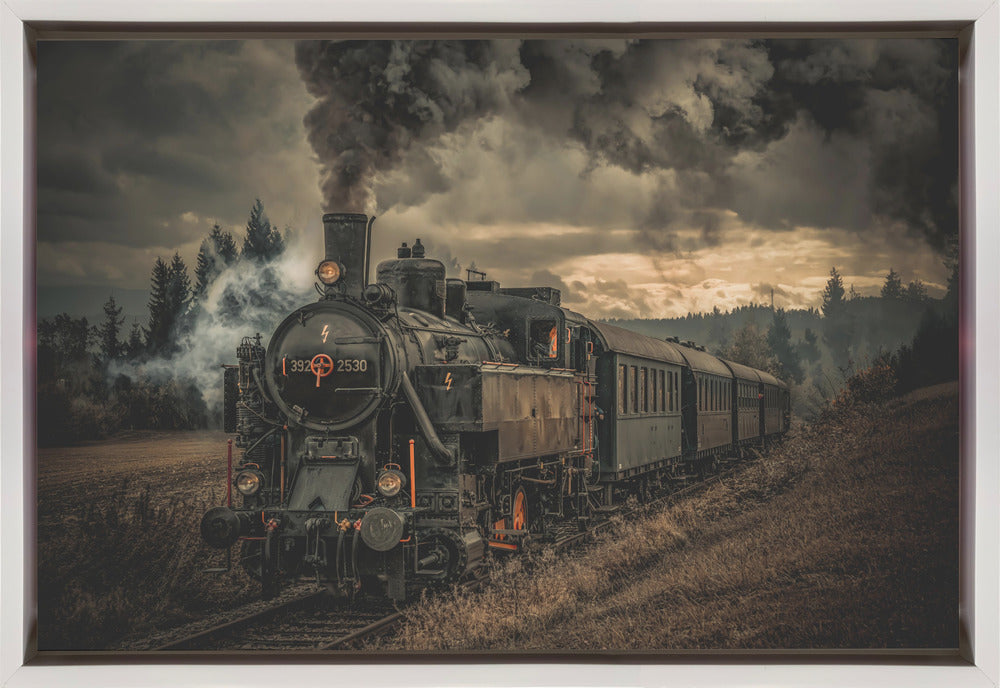 Gold digger train-Canvas Print-DECOROLALA