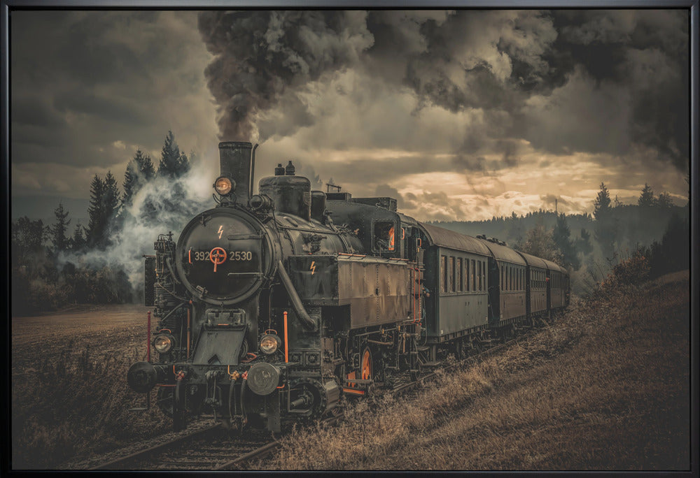 Gold digger train-Canvas Print-DECOROLALA