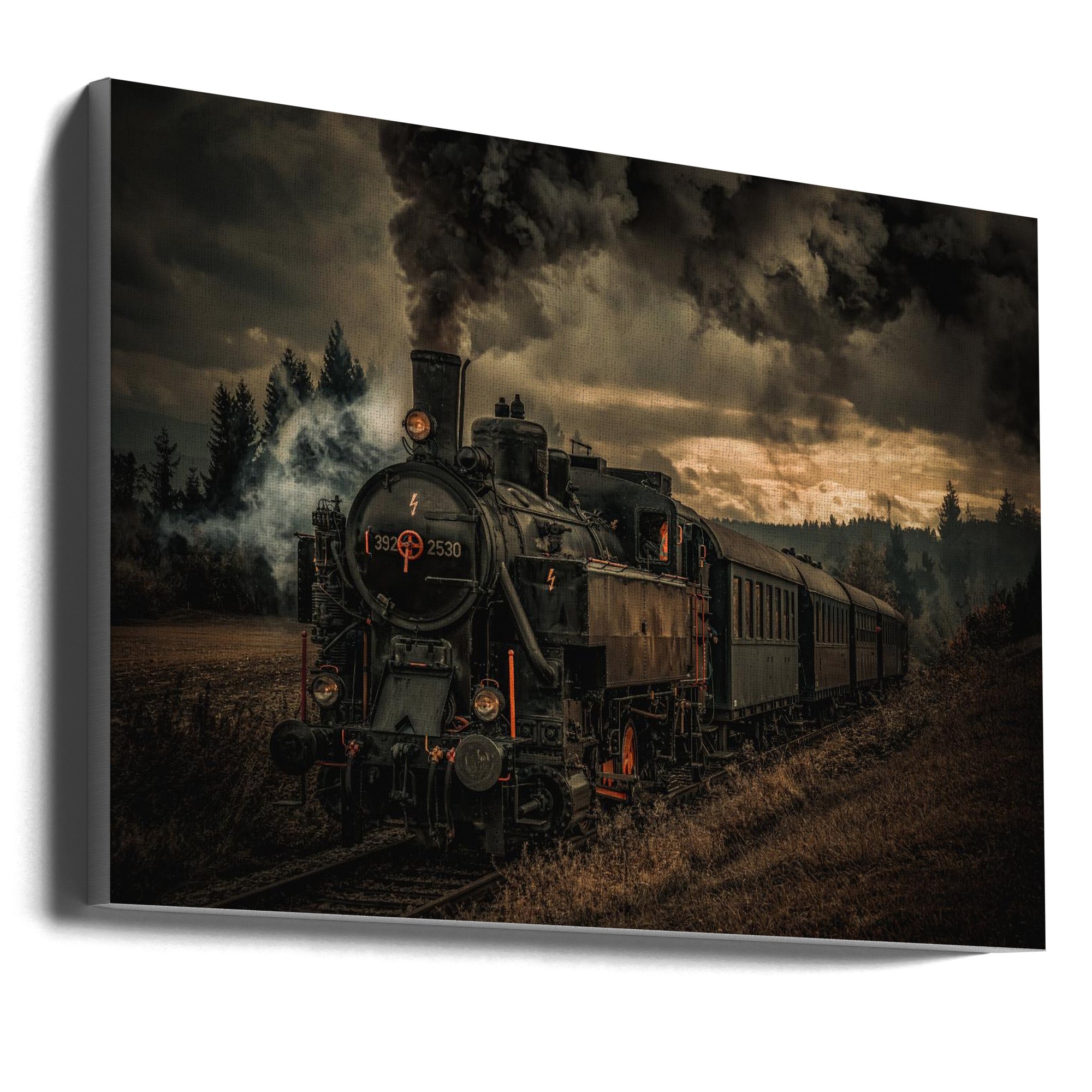 Gold digger train-Canvas Print-DECOROLALA