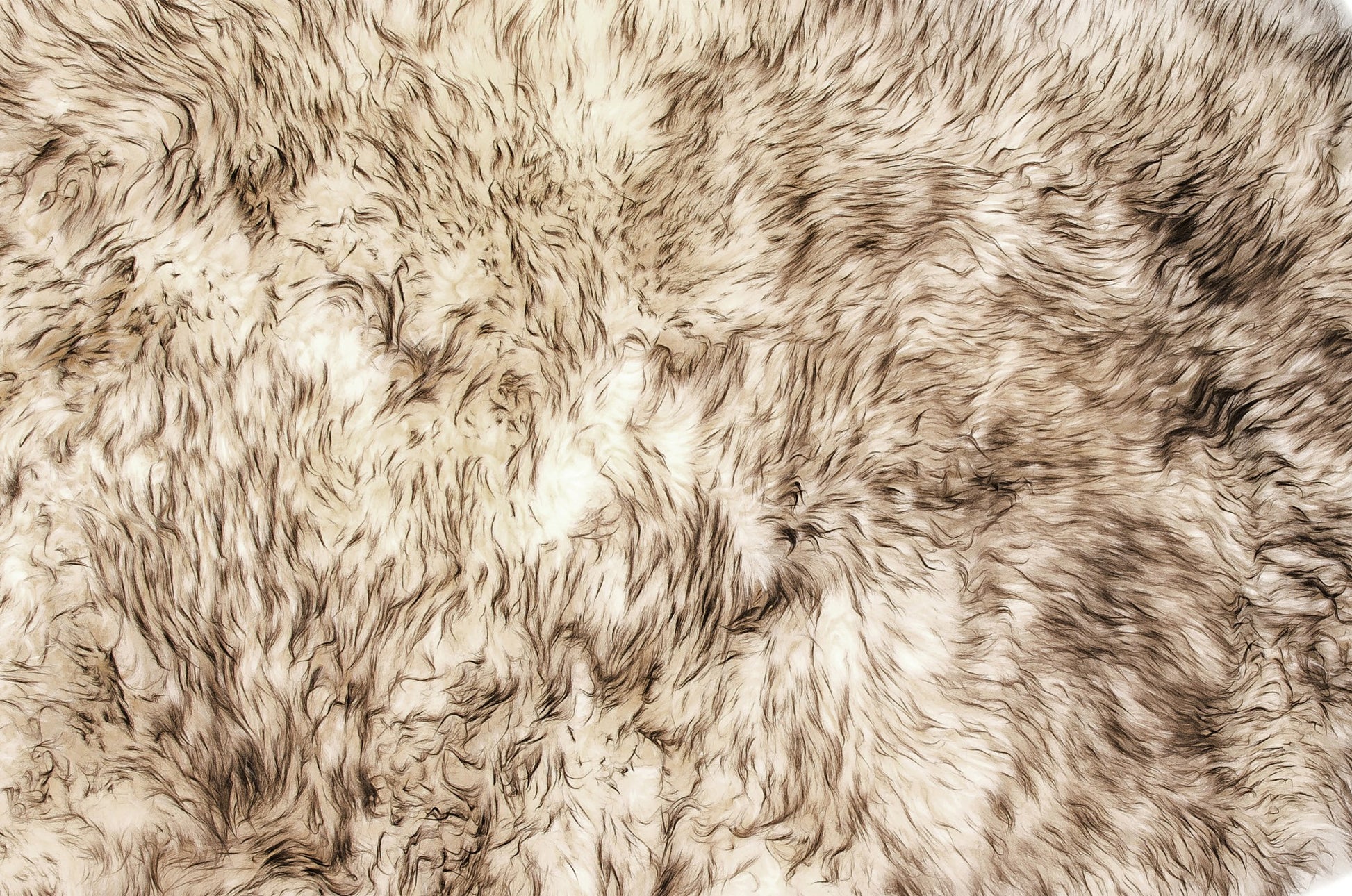 Gradient Chocolate Animal Print Area Rug-Area Rugs-DECOROLALA