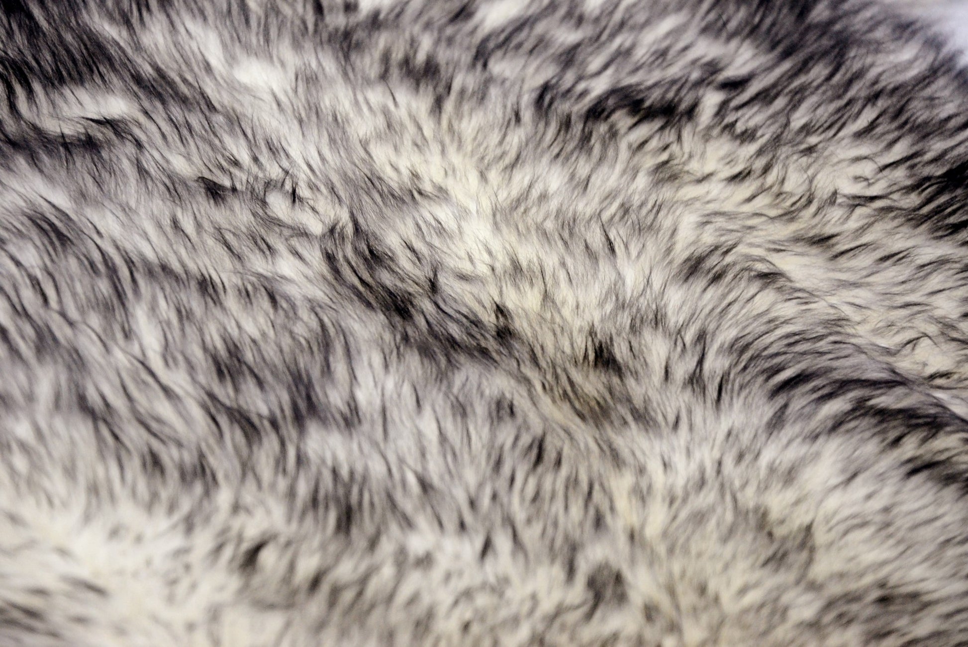 Gradient Gray Animal Print Area Rug-Area Rugs-DECOROLALA