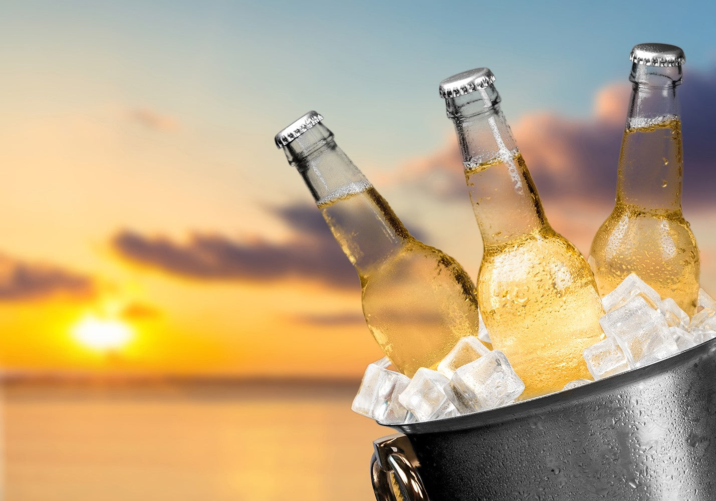 Grand Cru Classe Wine Cooler-Wine Coolers-DECOROLALA