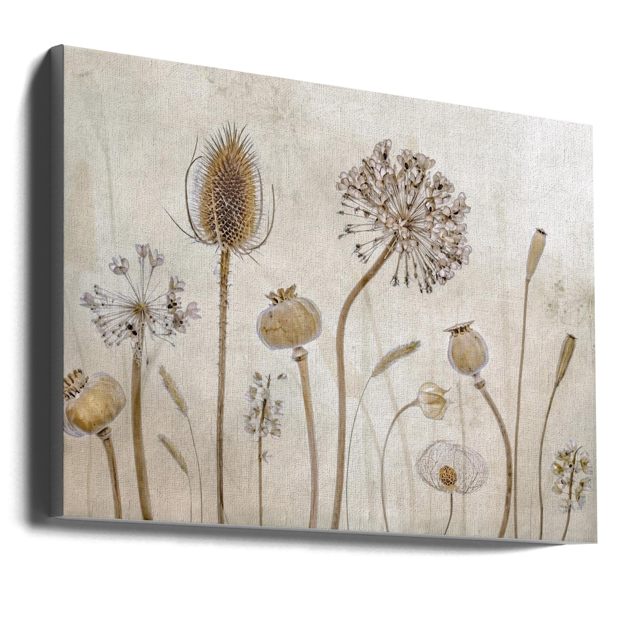 Growing Old by Mandy Disher-canvas-DECOROLALA