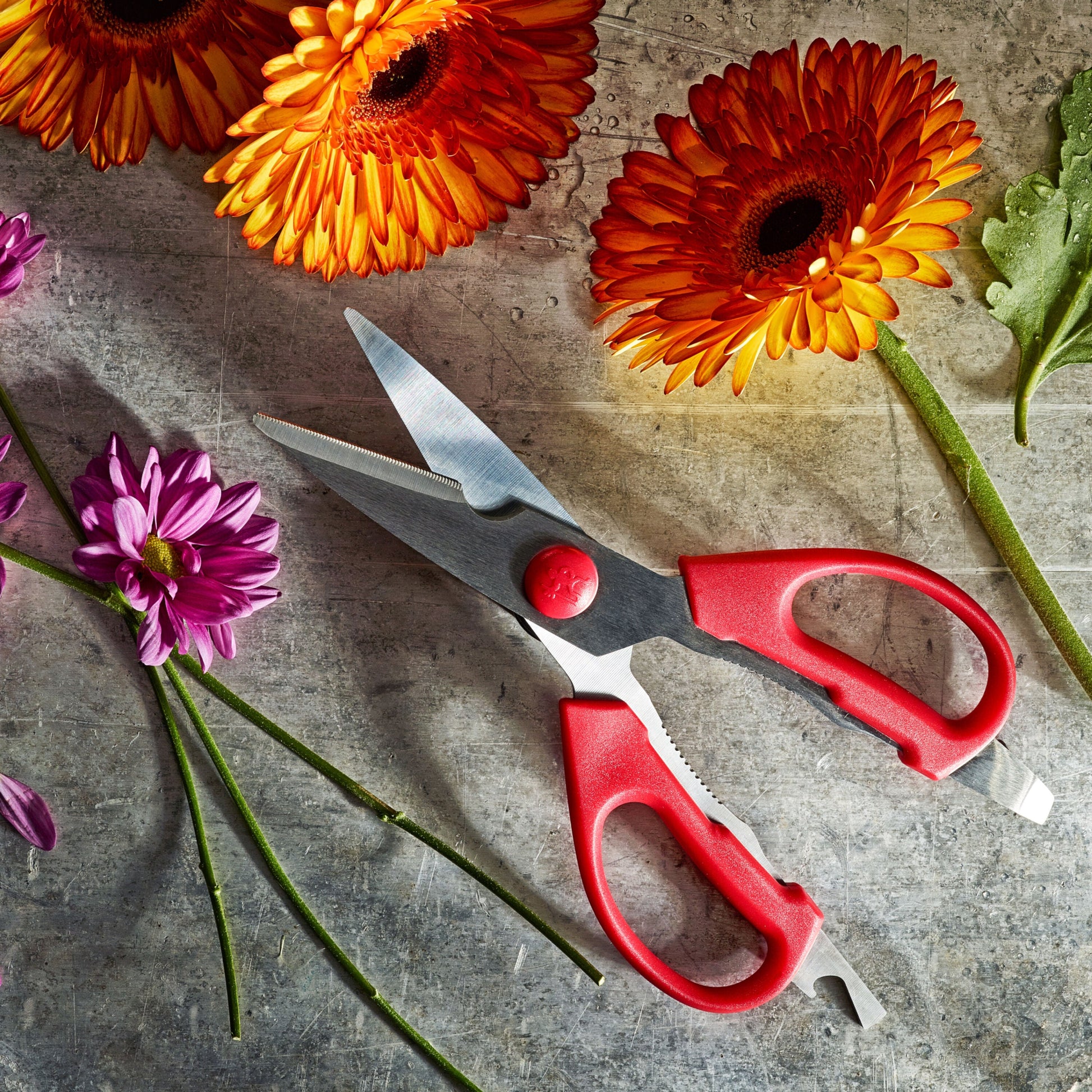 HENCKELS Kitchen Elements Multi-Purpose Shears, Red-Kitchen Shear-DECOROLALA