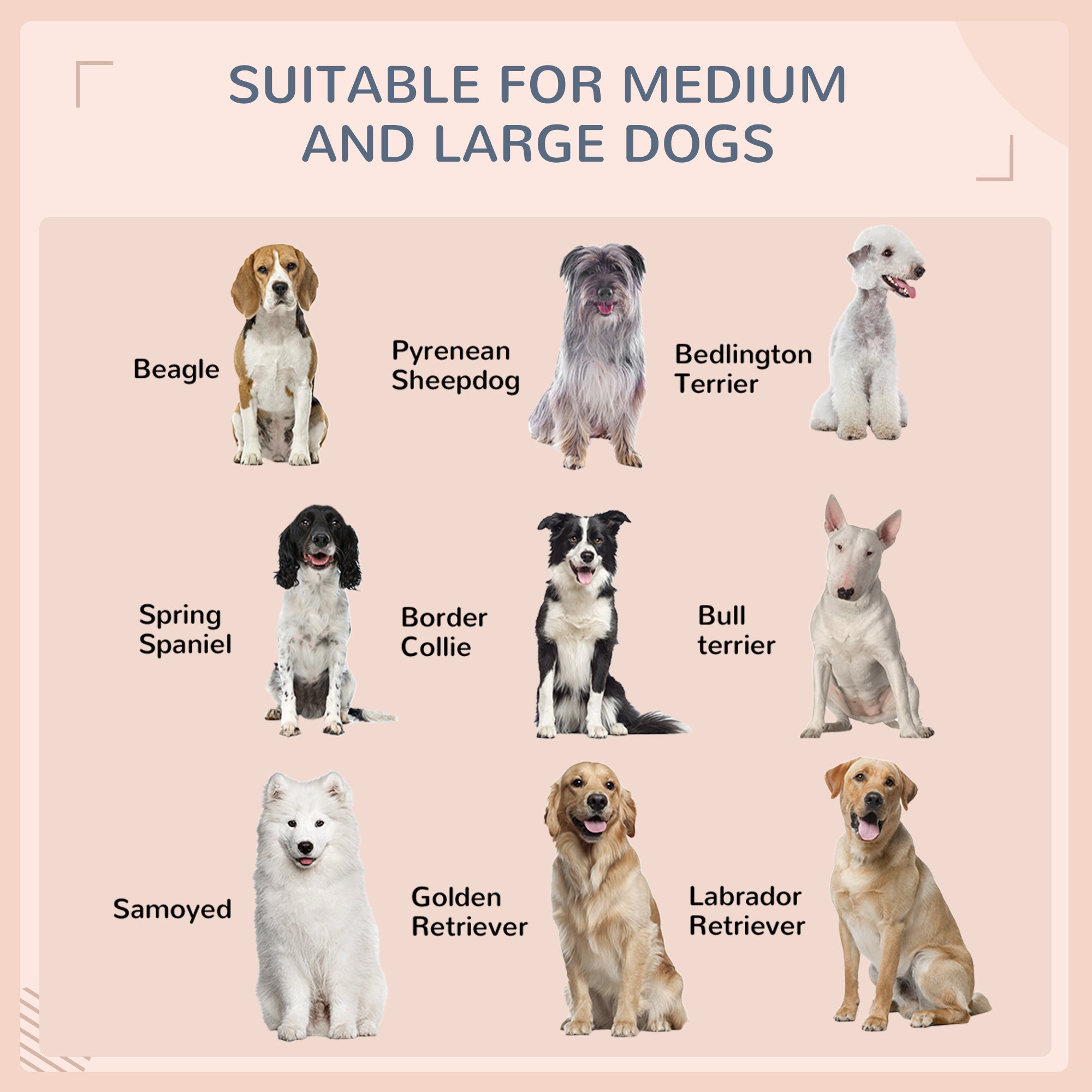 Niche pour chien en rotin avec auvent, panier pour chien en osier avec coussin résistant à l’eau, pour petites et moyennes races, blanc crème