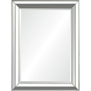 Hawkwell 40" Tall Rectangle Wall Mirror, Grey-Mirror-DECOROLALA