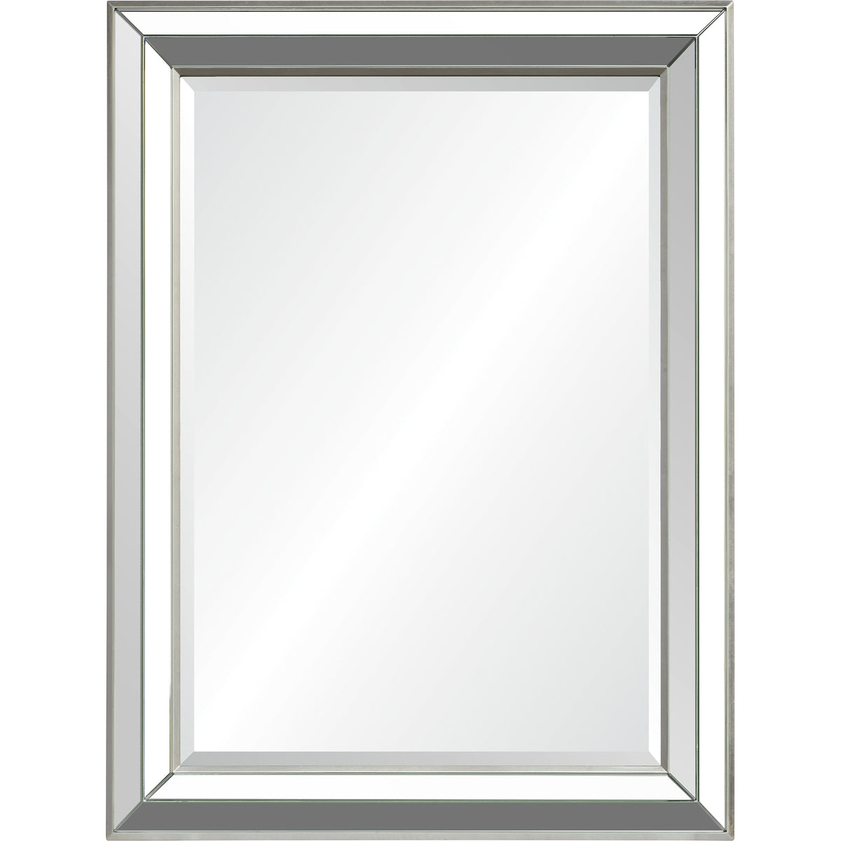 Hawkwell 40" Tall Rectangle Wall Mirror, Grey-Mirrors-DECOROLALA