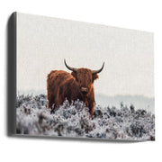 Highlander-canvas-DECOROLALA