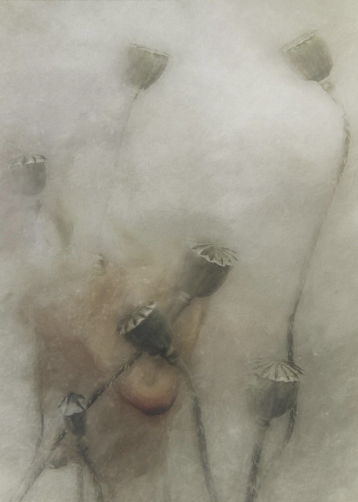 Hopeful Future by Gilbert Claes-canvas-DECOROLALA