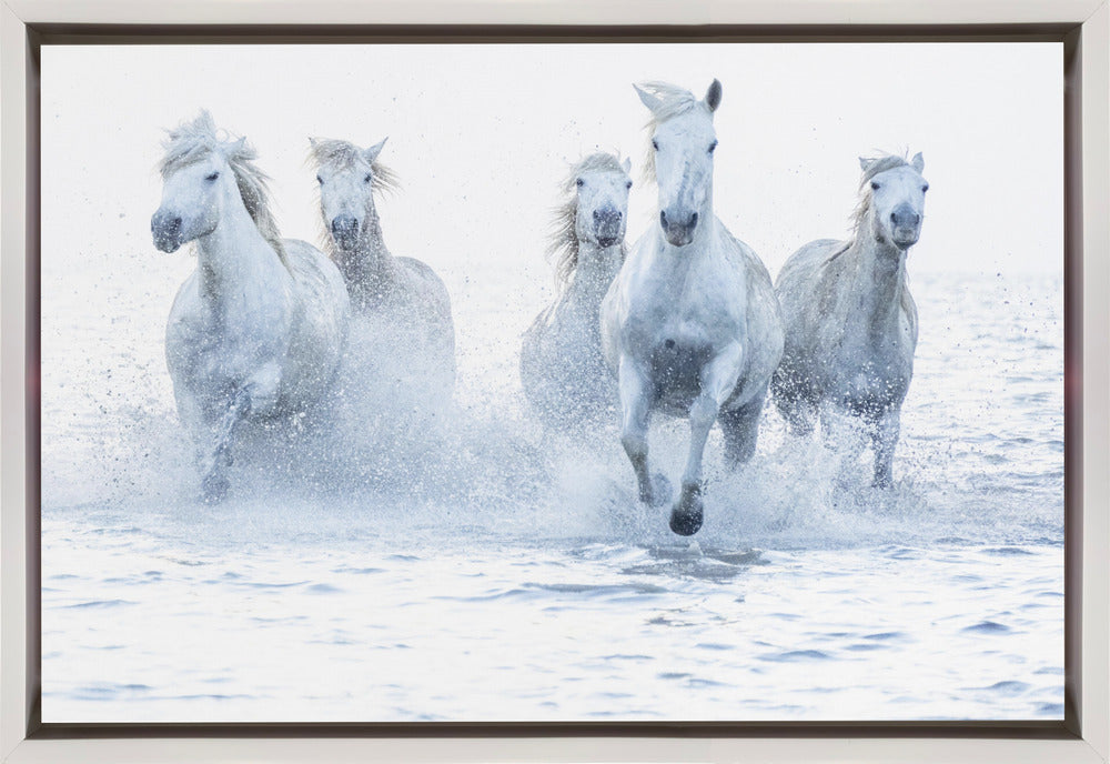 Horses on the Run-canvas-DECOROLALA