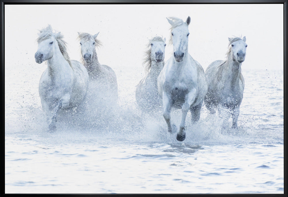 Horses on the Run-canvas-DECOROLALA