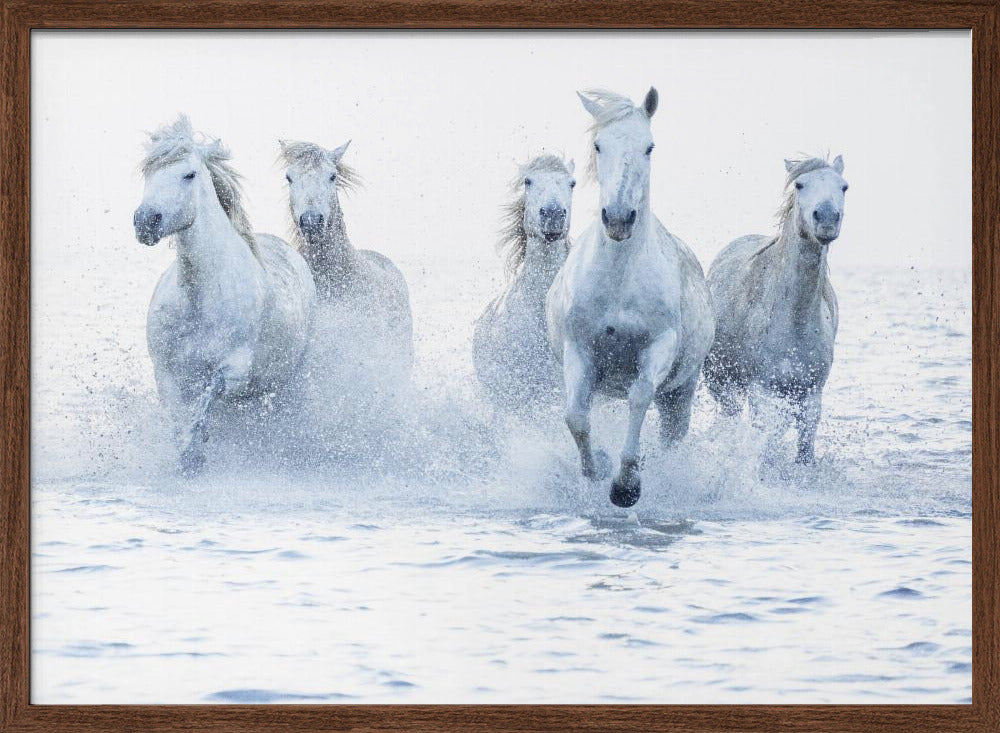 Horses on the Run-canvas-DECOROLALA