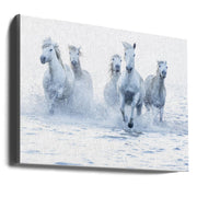 Horses on the Run-canvas-DECOROLALA