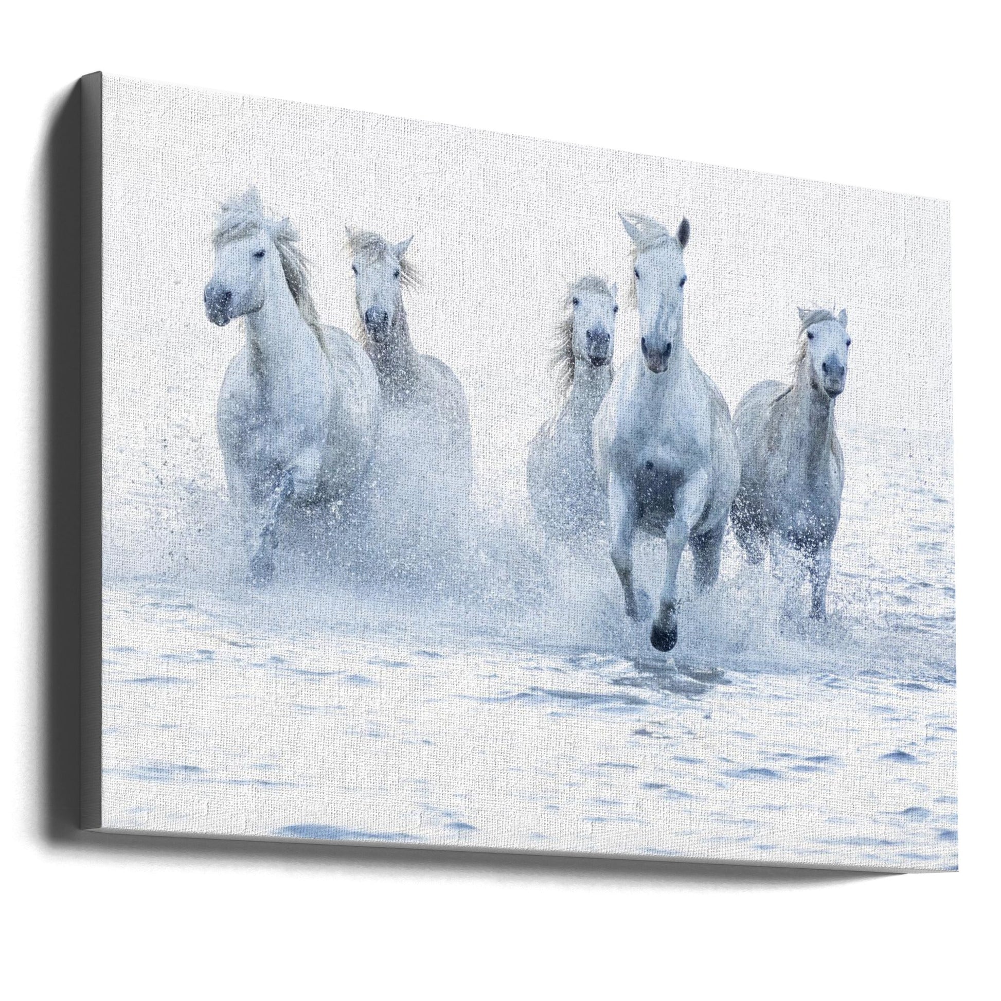 Horses on the Run-canvas-DECOROLALA