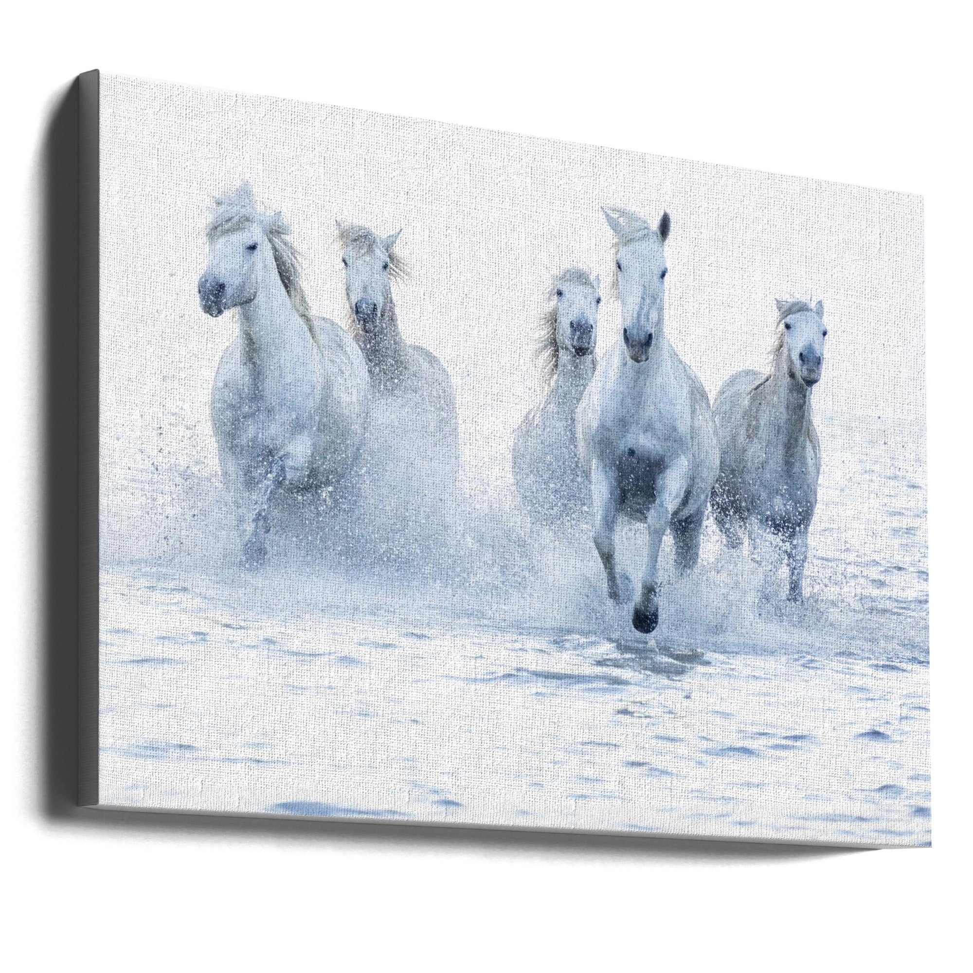 Horses on the Run-canvas-DECOROLALA
