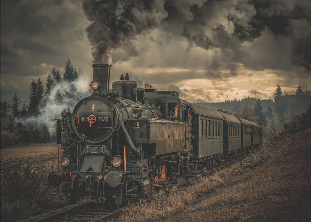 Hubert Bichler Gold Digger Train Wall Art-Canvas Print-DECOROLALA