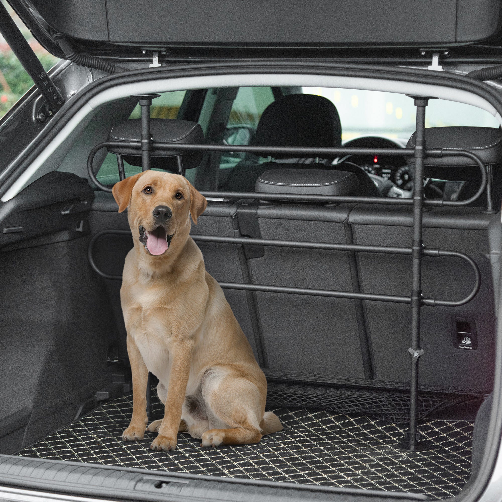 Barrière de voiture réglable pour animaux, pour SUV, véhicules et fourgonnettes, grille de séparation arrière pour chiens, pour des trajets en voiture en toute sécurité, noire