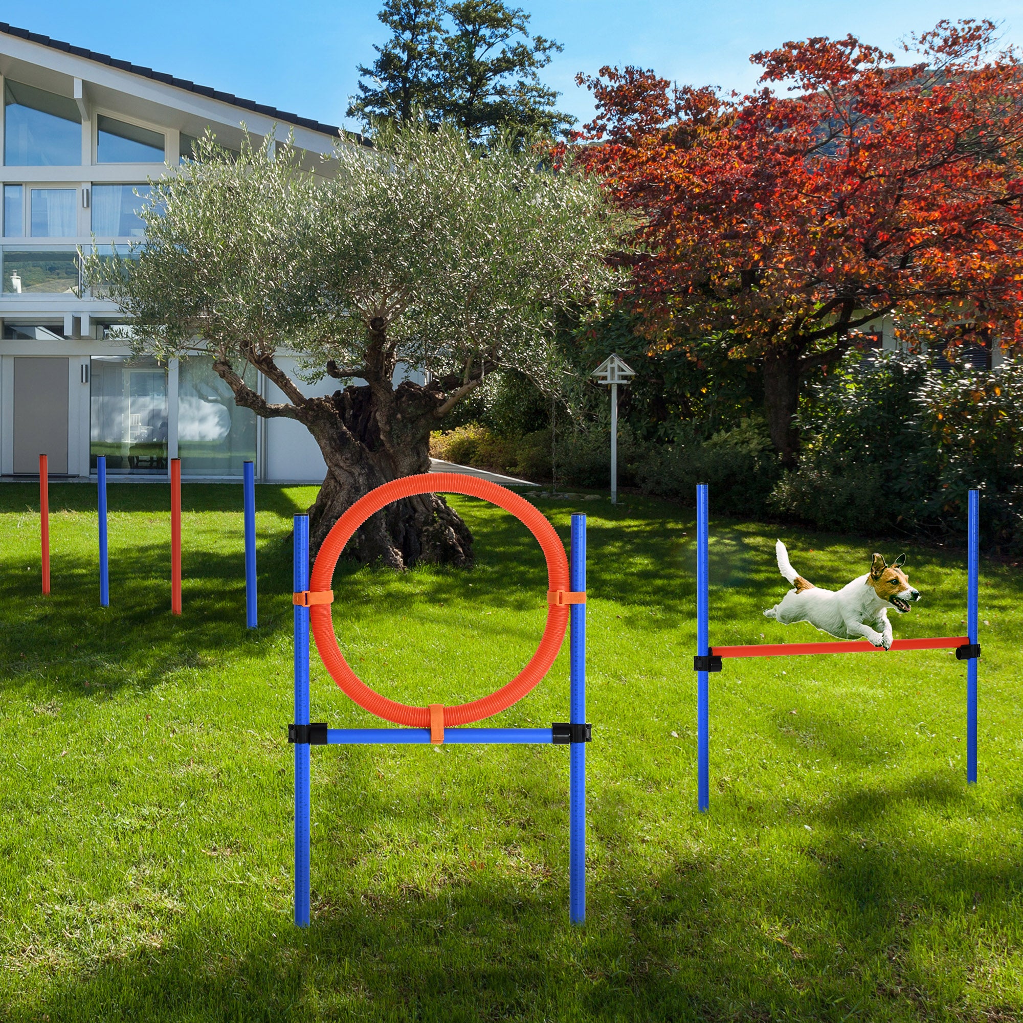 Kit d’entraînement à l’agilité pour chiens, saut en hauteur, poteaux de slalom, anneau et obéissance, équipement réglable et portable