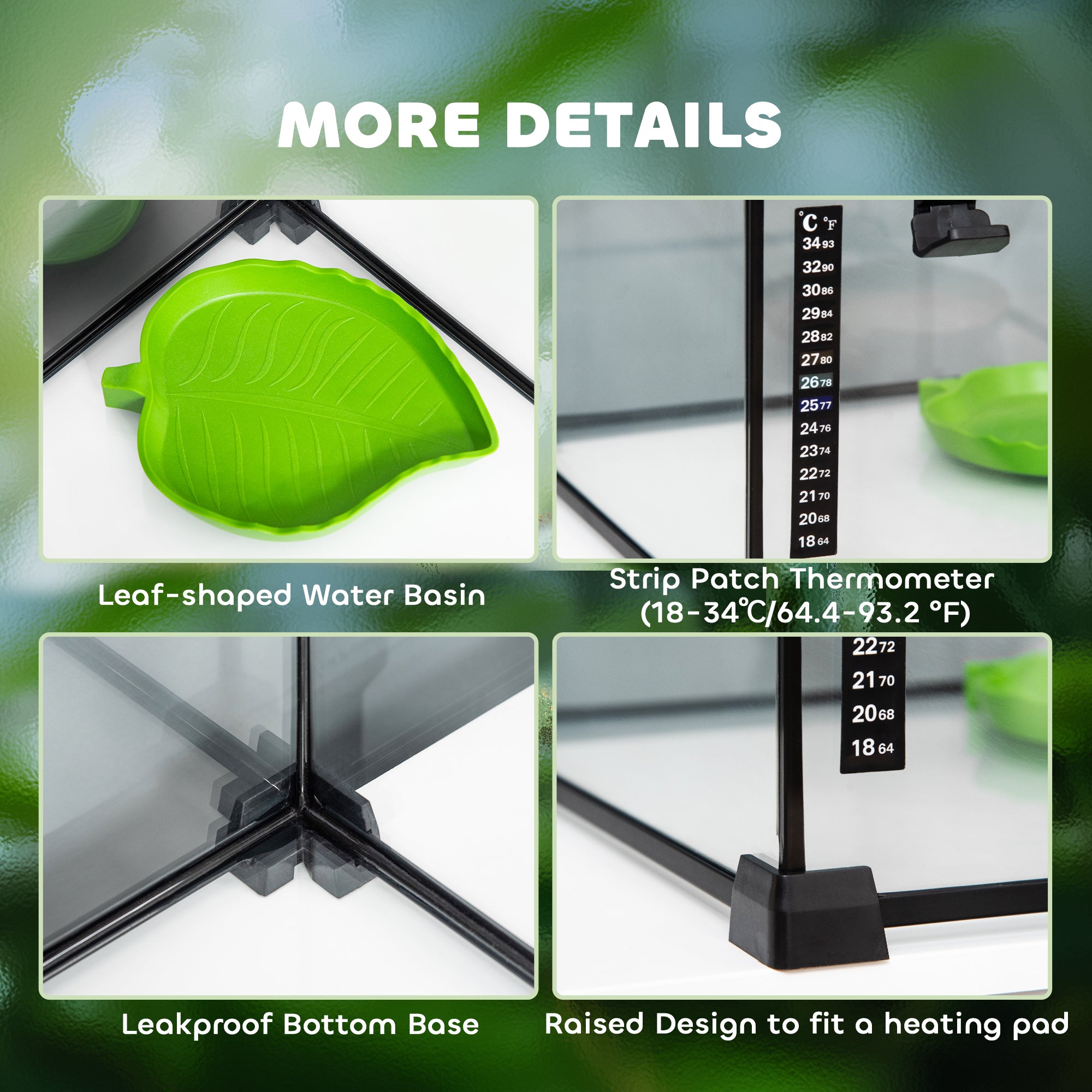 Glass Reptile Terrarium with Thermometer, Water Basin, Full View Visually for Lizards, Horned Frogs, Snakes, Spiders