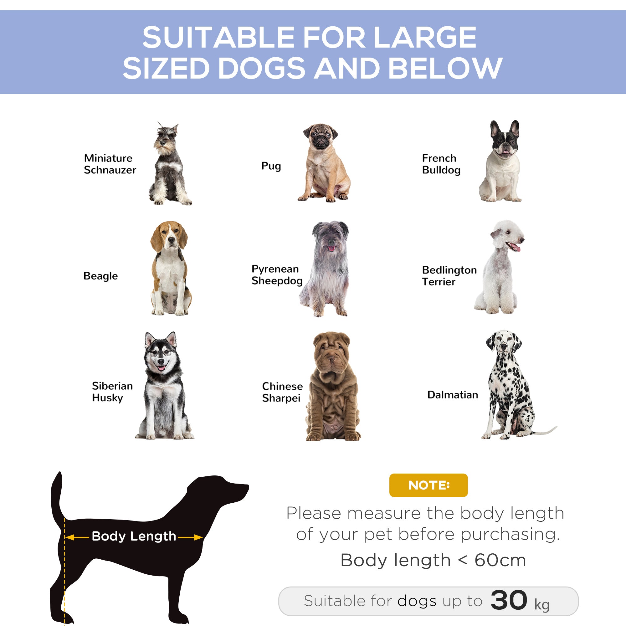 Elevated Dog Bed, Raised Dog Cot for XL Sized Dogs, Indoor & Outdoor, 36" x 30" x 7", Blue