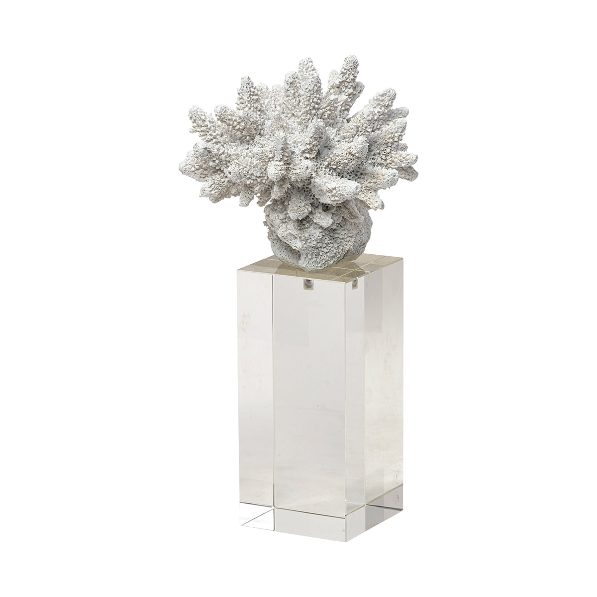 Isla Large White Resin Coral Decor on Glass Base - 5"x5"-Objects-DECOROLALA