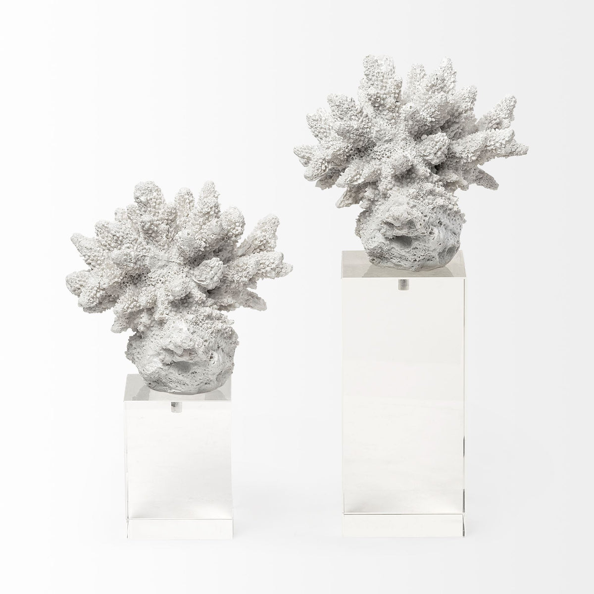 Isla Large White Resin Coral Decor on Glass Base - 5"x5"-Objects-DECOROLALA