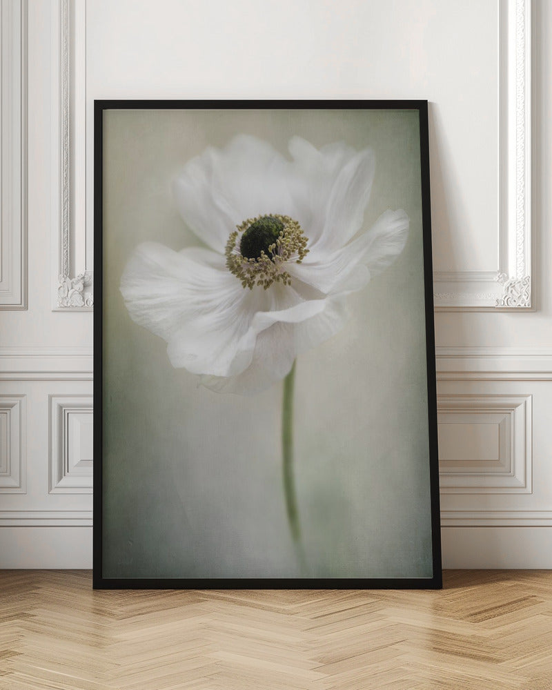 Jacky Parker Single White Wall Art-canvas-DECOROLALA