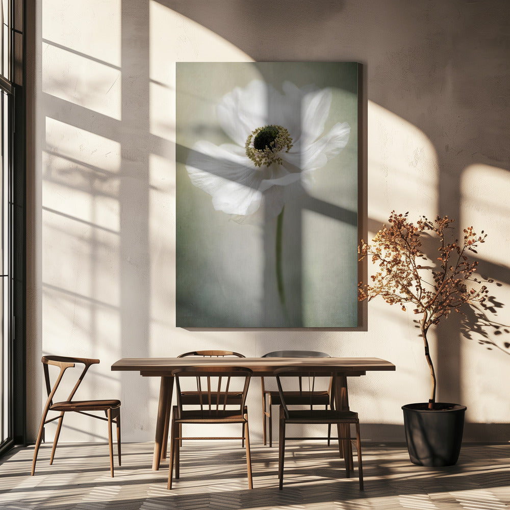 Jacky Parker Single White Wall Art-canvas-DECOROLALA