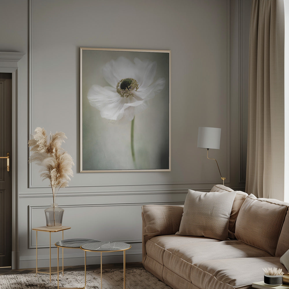 Jacky Parker Single White Wall Art-canvas-DECOROLALA
