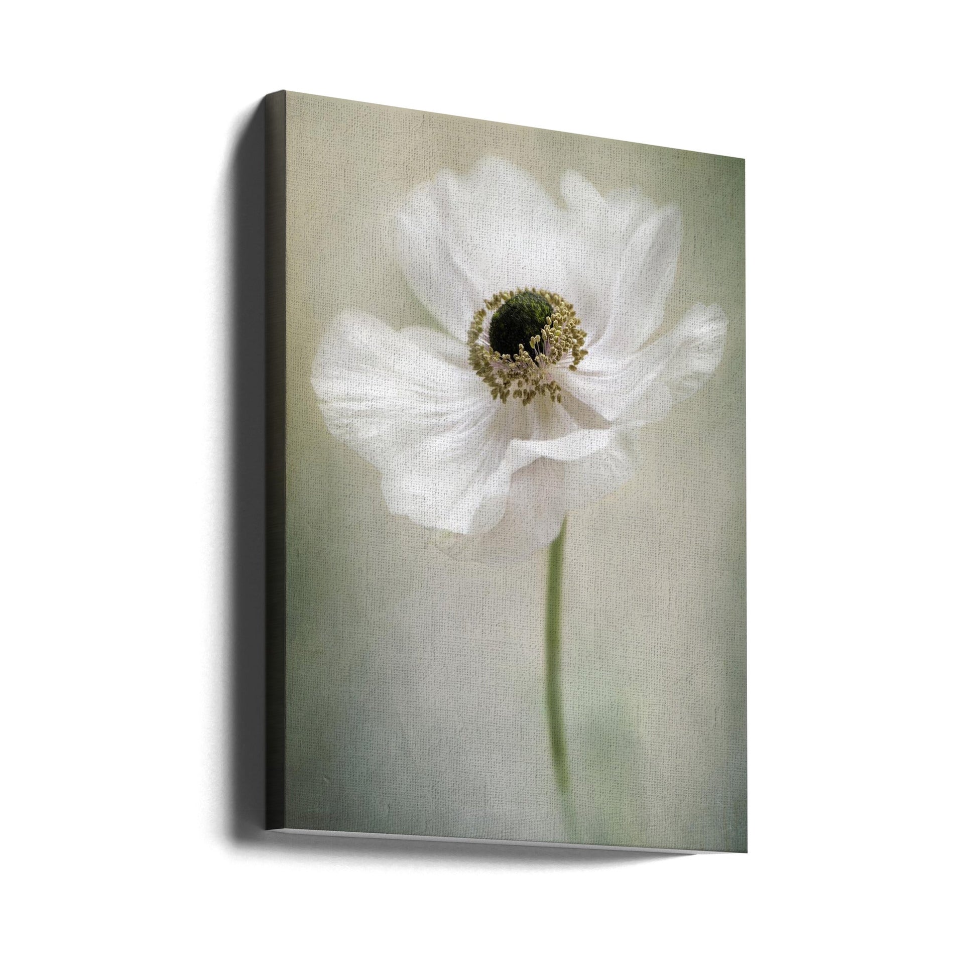 Jacky Parker Single White Wall Art-canvas-DECOROLALA